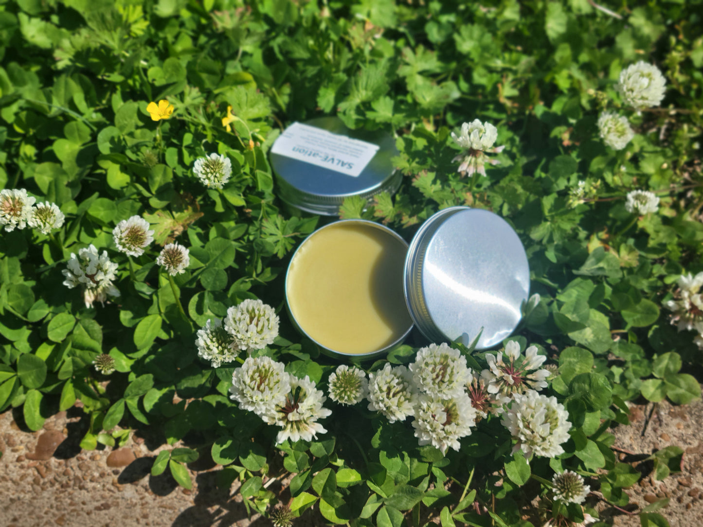 SALVE-ation: Foraged Floral Ointment