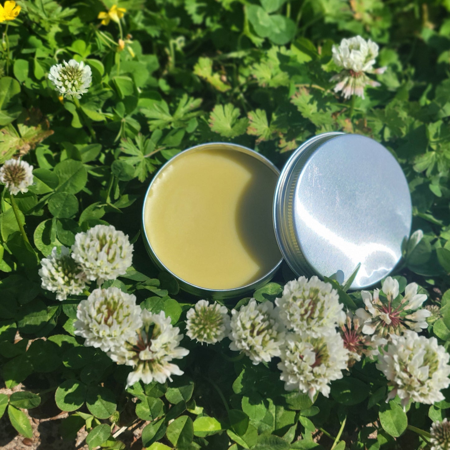 SALVE-ation: Foraged Floral Ointment