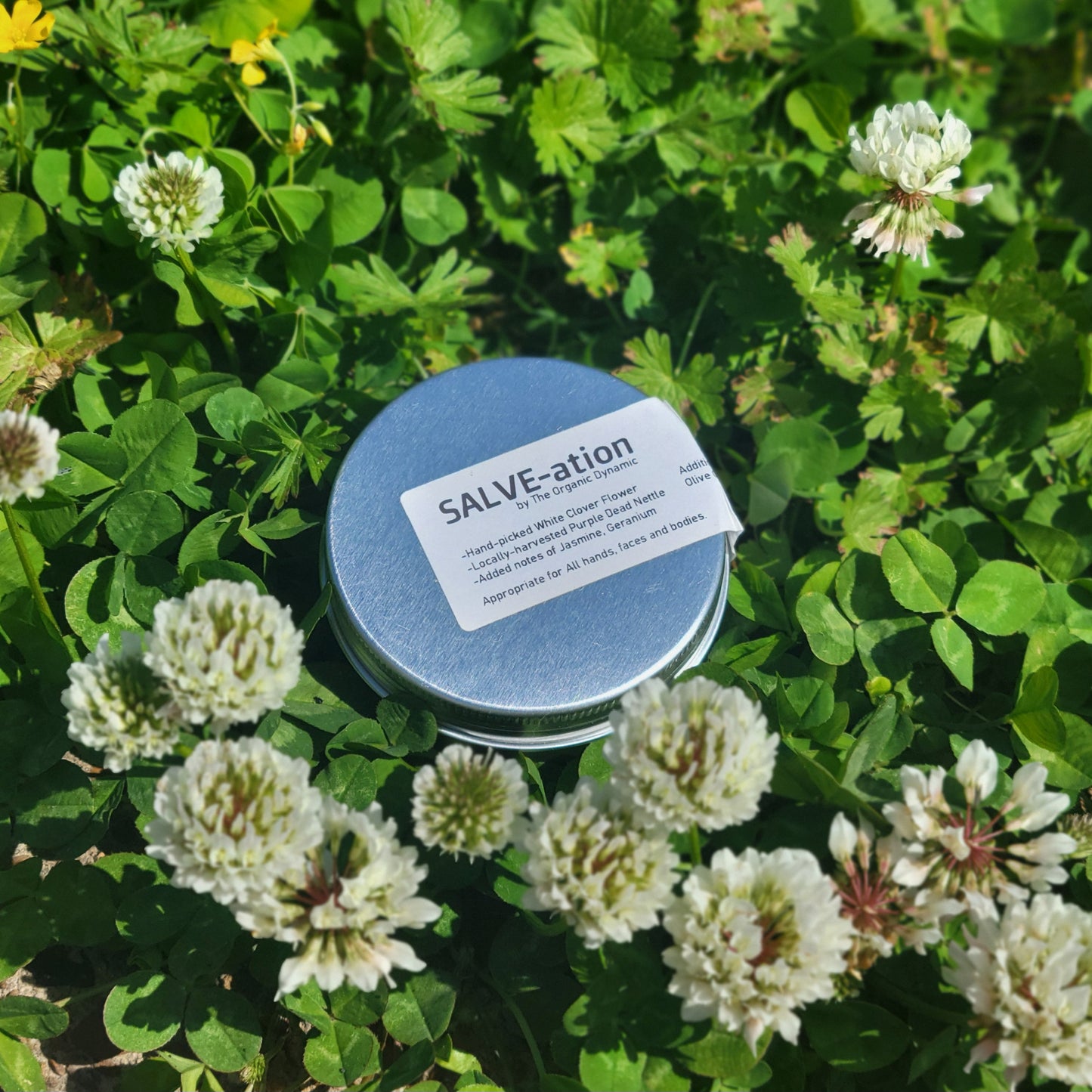 SALVE-ation: Foraged Floral Ointment