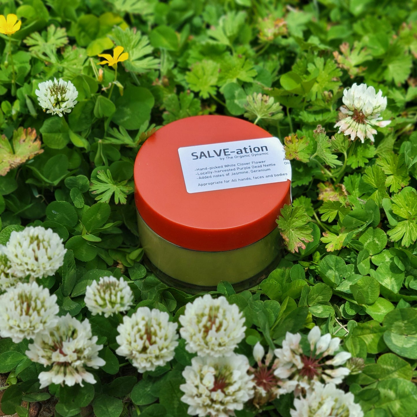 SALVE-ation: Foraged Floral Ointment